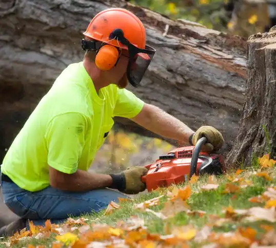 tree services Rye Brook